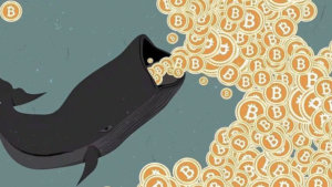 Sadraf: bitcoin balina 3