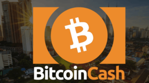 Sadraf: Bitcoin Cash cüzdanı 3