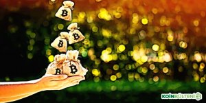 BTC Piyasası: ‘Bitcoin Safiye’ Yüzlerce Kişiyi Dolandırdıktan Sonra Sırra Kadem Bastı 3