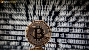 BTC Piyasası: Willy Woo: “Bitcoin fiyatının 8.000 dolara düşüşü halving öncesi benzersiz bir kurulum” 3