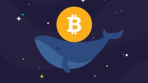 BTC Piyasası: Bitcoin Balinaları Yine Hareketlendi – Dev İşlem Korkuya Sebep Oldu 3