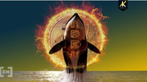 BTC Piyasası: Bitcoin, Ripple ve Altcoin Balinalarından Endişe Verici Transferler! Sebebi Nedir? 3