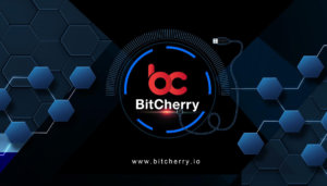 BTC Piyasası: Dünyanın ilk dağıtık e-ticaret ağı BitCherry, Blockchain Economy 2020’ye katılıyor 3