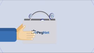 BTC Piyasası: PegNet’e 6.7 Milyon Dolarlık Saldırı Düzenlendi 3
