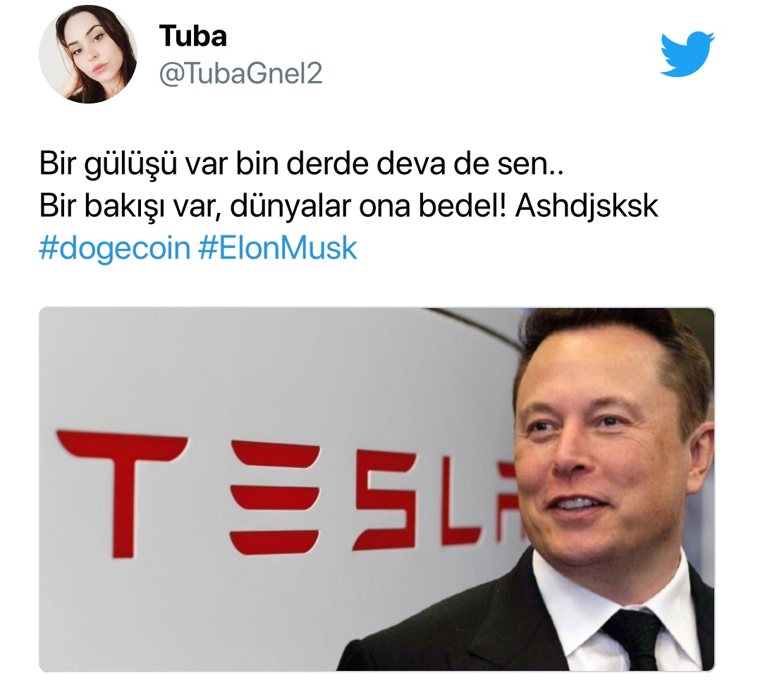 Ulaş Utku Bozdoğan: Elon Musk: Tesla, DOGE ile Ödeme Almaya Başladı 2