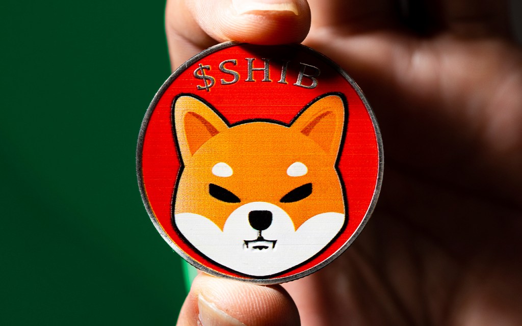 BTC Piyasası: Shiba Inu’nun Yıl Yıl Göreceği Düzeyler Açıklandı! 2