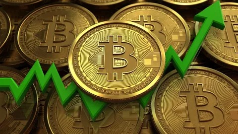 BTC Piyasası: Bitcoin 50.000 Dolar Olacak mı? 2