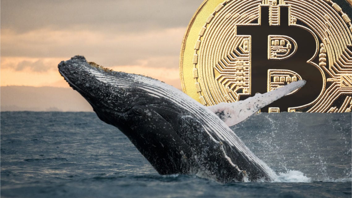 BTC Piyasası: Bitcoin Balinaları Su Yüzüne Çıktı: Yatırımcılar Kaygılı 1