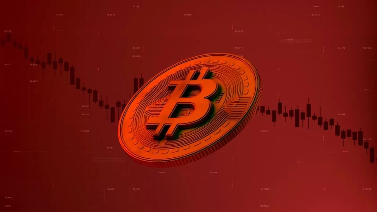 Ulaş Utku Bozdoğan: Tarih Bile Konan Milyonluk Bitcoin Bahsi Kapandı! 3