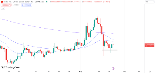 BTC Piyasası: Uçuş Sezonu! Yapay Zekadan 2 Altcoin Vurgusu 4