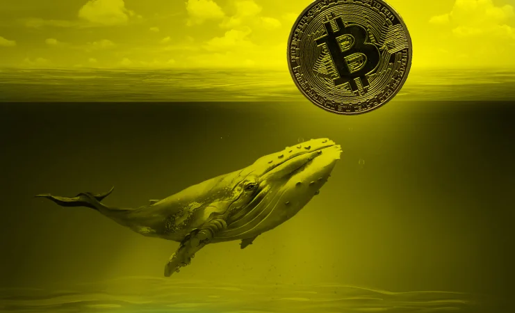 Ulaş Utku Bozdoğan: Bitcoin Sert Düştü! Piyasada Devasa Tasfiye 2