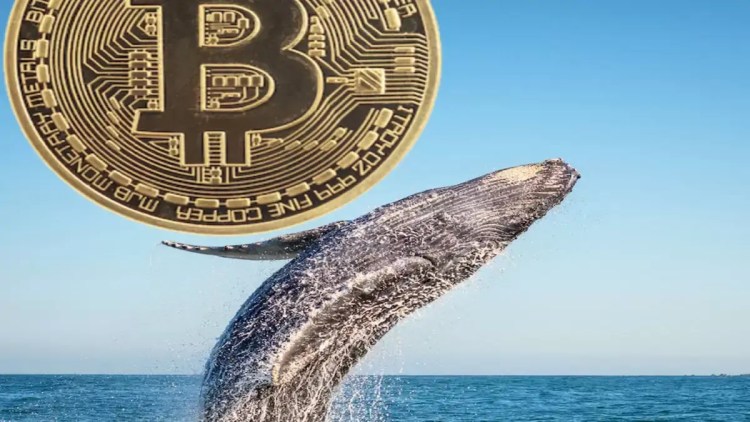 BTC Piyasası: Balinalar Saldırıyor! Bitcoin İçin Durum Aldıkları Düzeyler Açıklandı 1